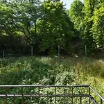 Wsp Petrin Garden 4* Prága